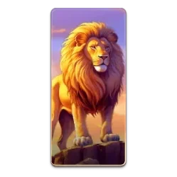 Lion
Safari